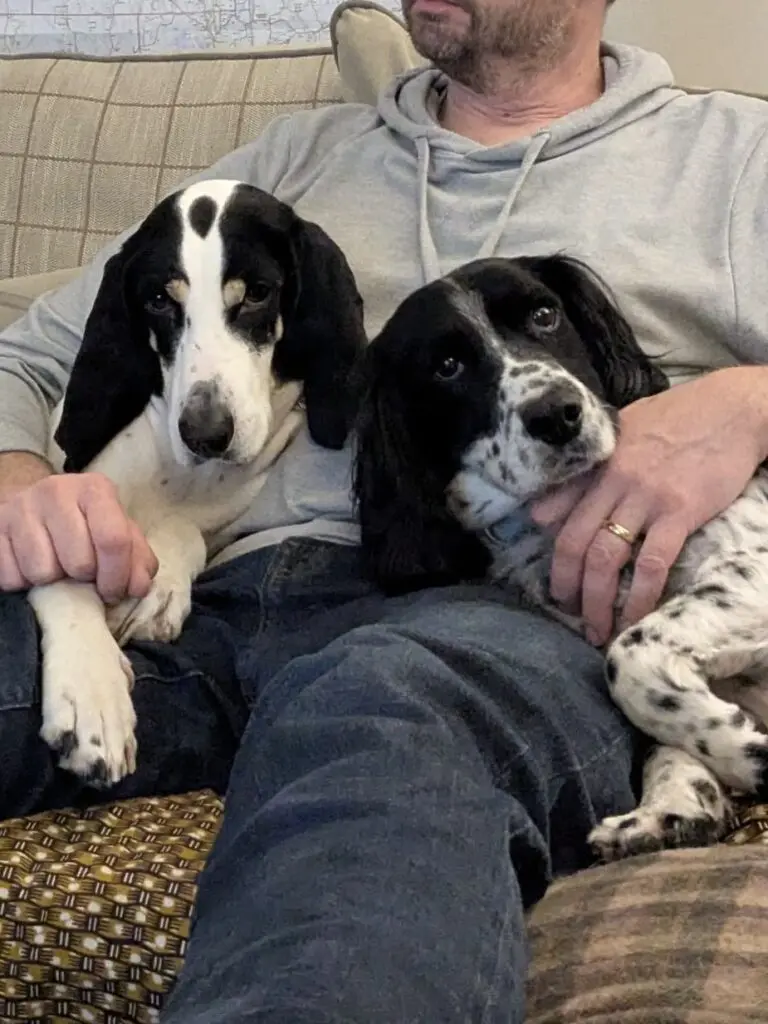Luna now Wilma (adopted June 2026) Thumb