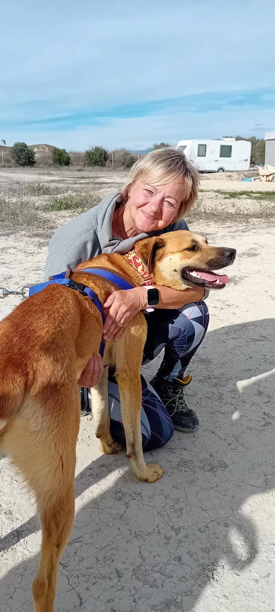 Ella (Adopted December 2026)