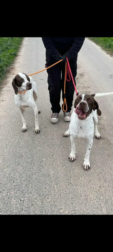 Archer and Austin Thumb