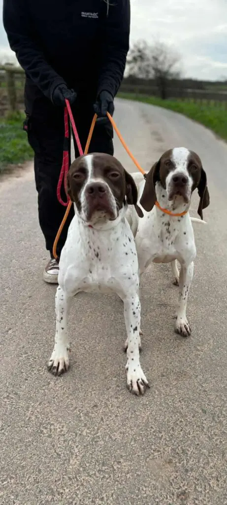 Archer and Austin Thumb