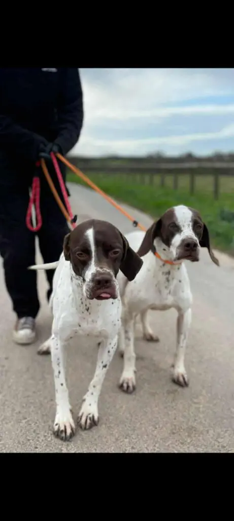 Archer and Austin Thumb