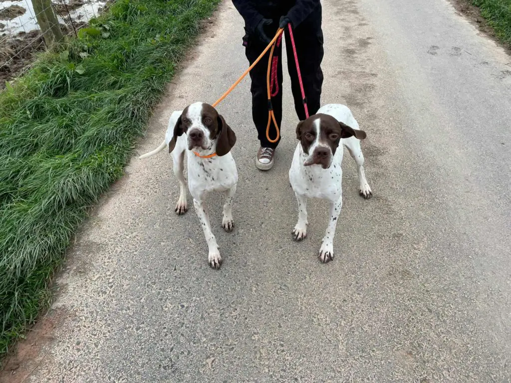 Archer and Austin Thumb