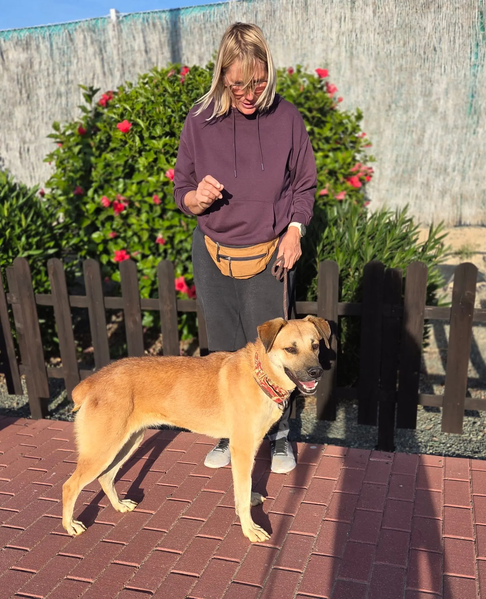 Ella (Adopted December 2026)