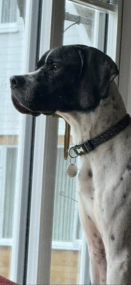 Branston (Adopted April 2026)