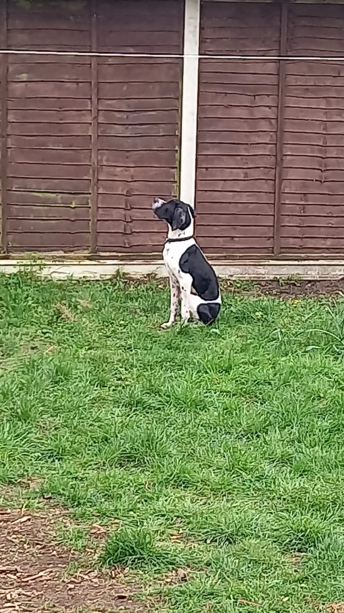 Branston (Adopted April 2026)