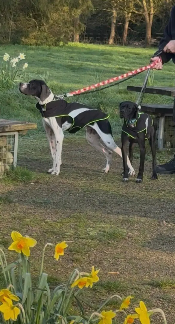 Branston (Adopted April 2026)
