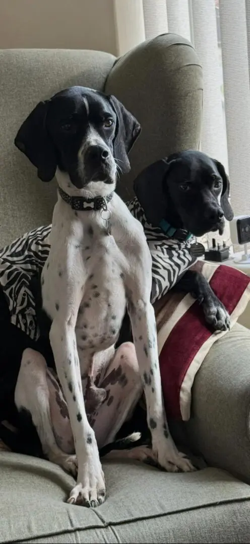 Branston (Adopted April 2026)