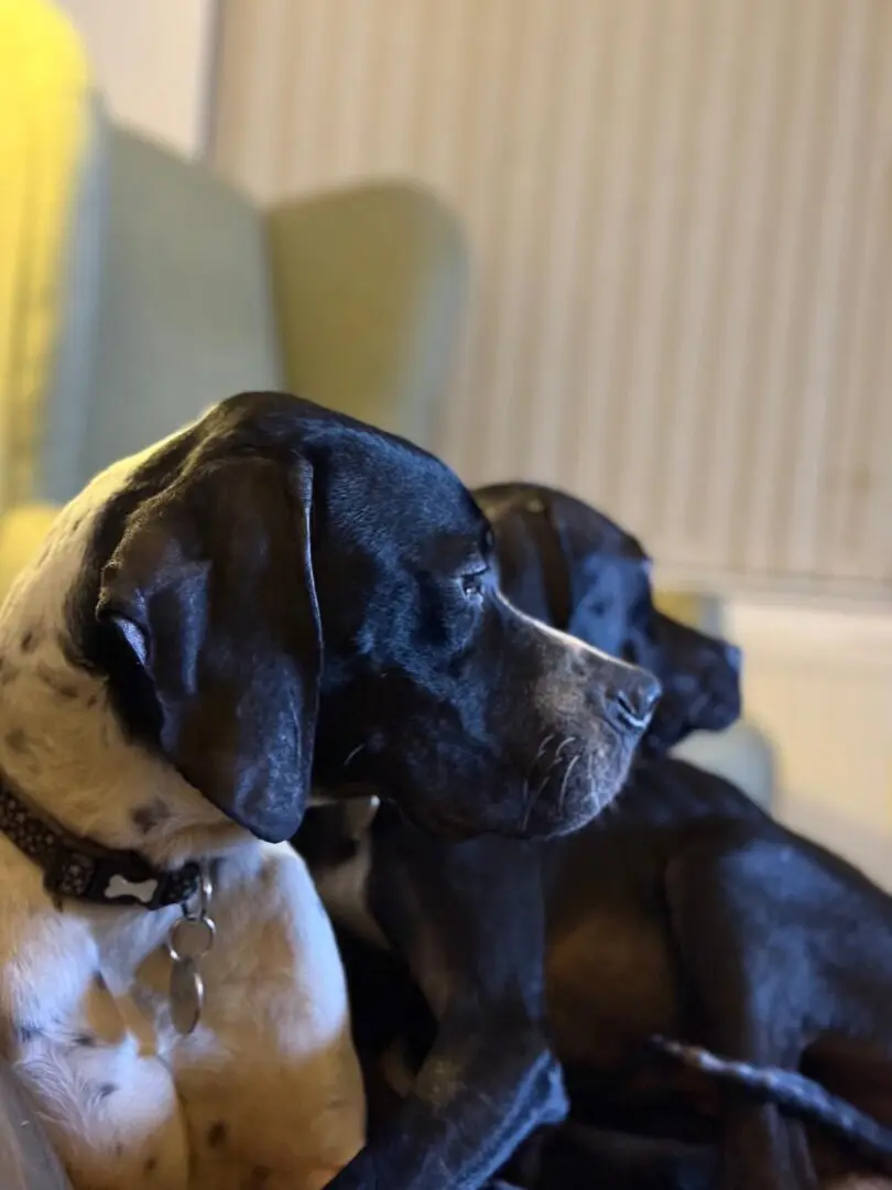Branston (Adopted April 2026)