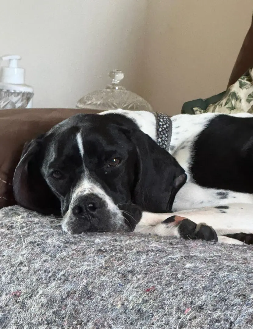 Branston (Adopted April 2026)