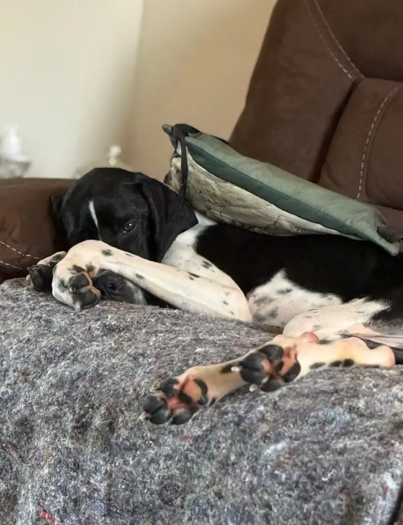 Branston (Adopted April 2026)