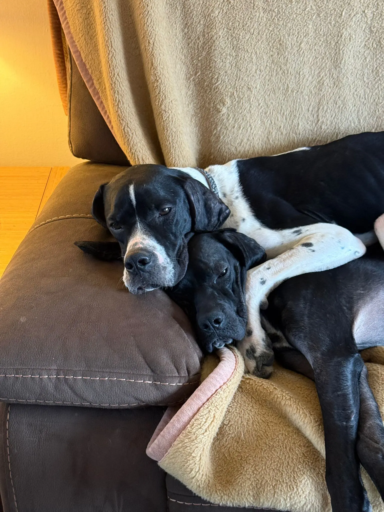Branston (Adopted April 2026)