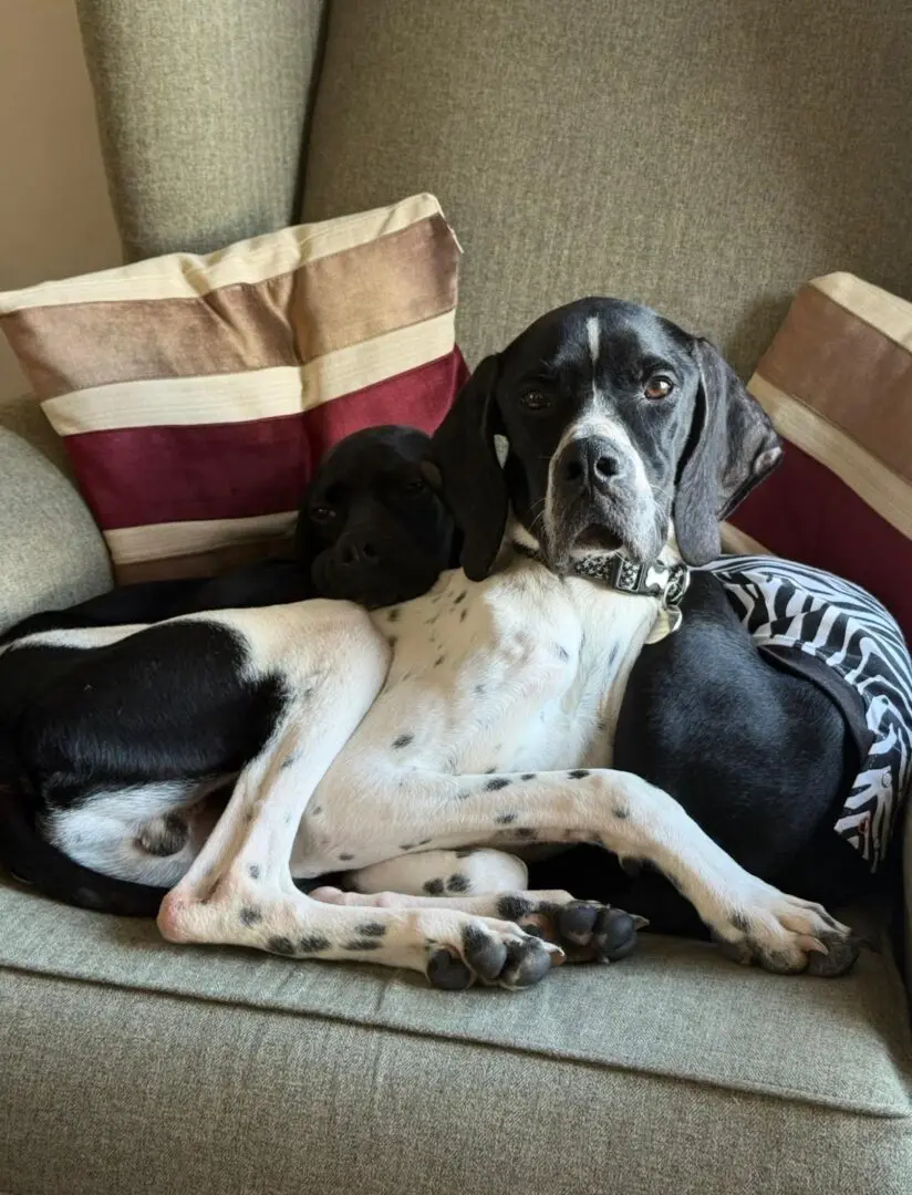 Branston (Adopted April 2026)