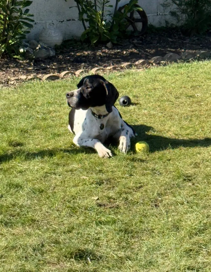 Branston (Adopted April 2026)