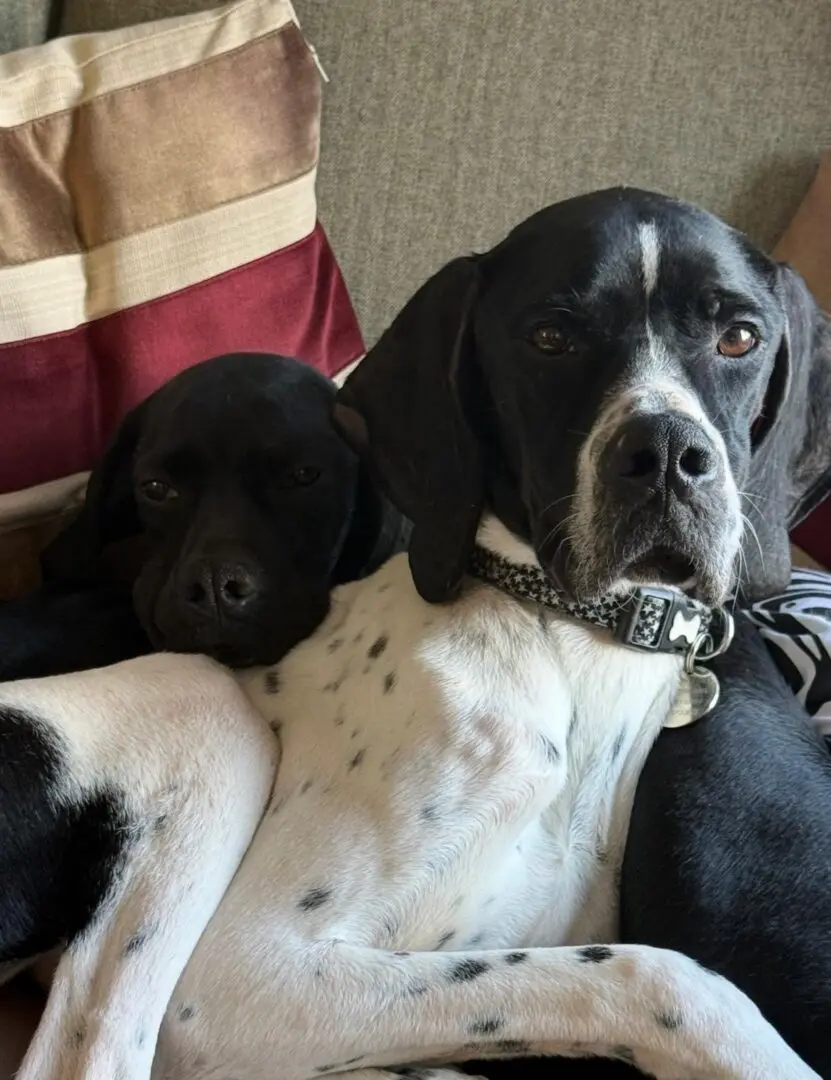Branston (Adopted April 2026)
