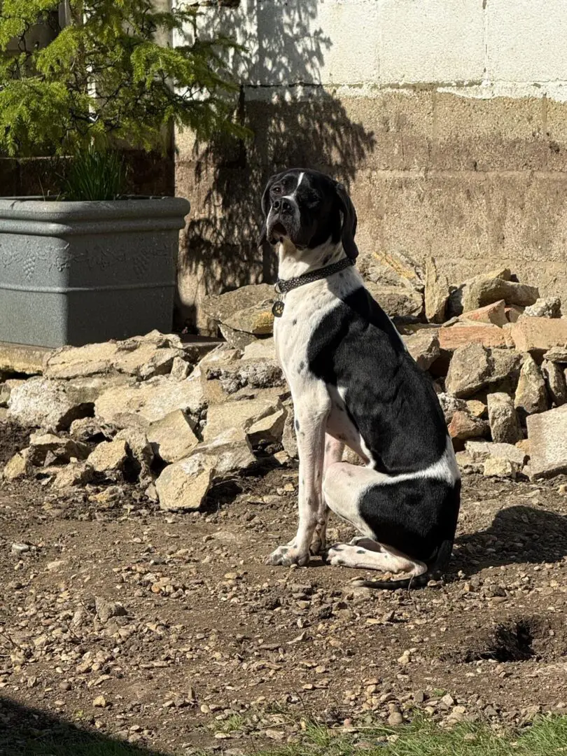 Branston (Adopted April 2026)