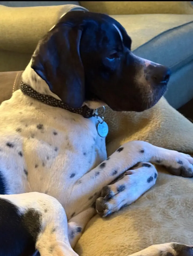 Branston (Adopted April 2026)