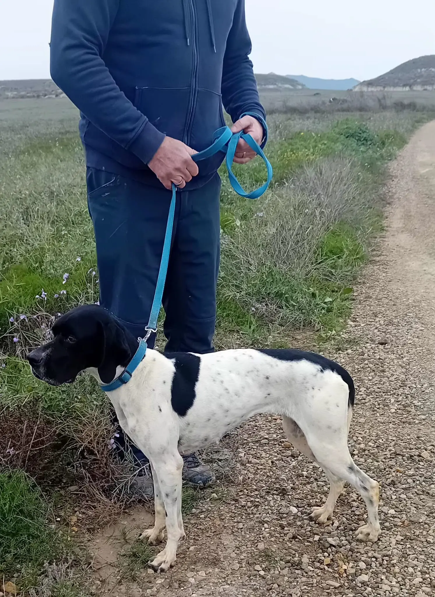 Dana – Sadly taken from us against our consent by Noahs Ark Spain