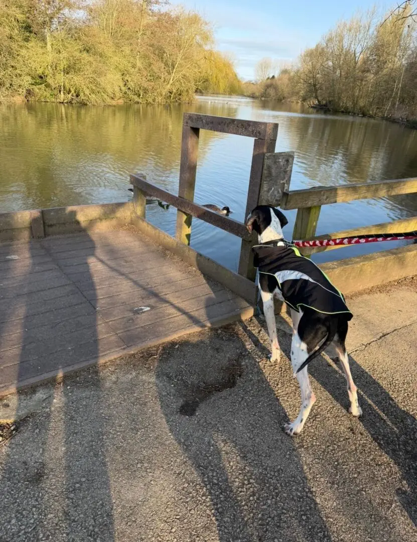Branston (Adopted April 2026)