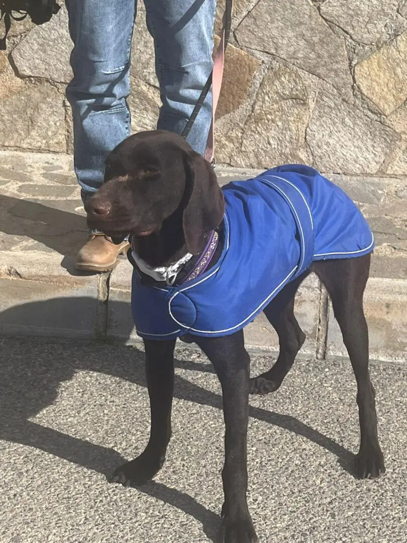 Farah (Adopted February 2026)