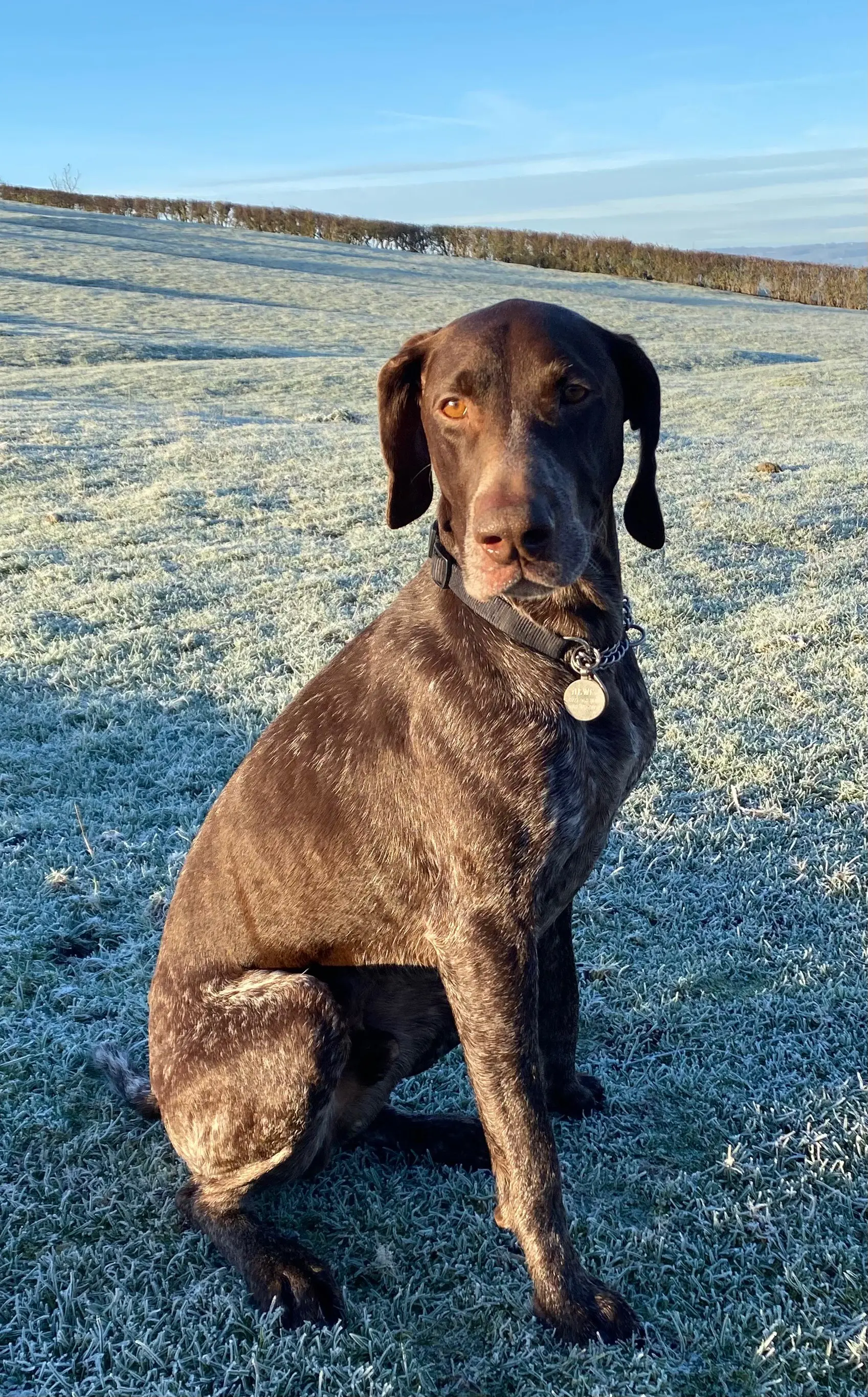 Oscar