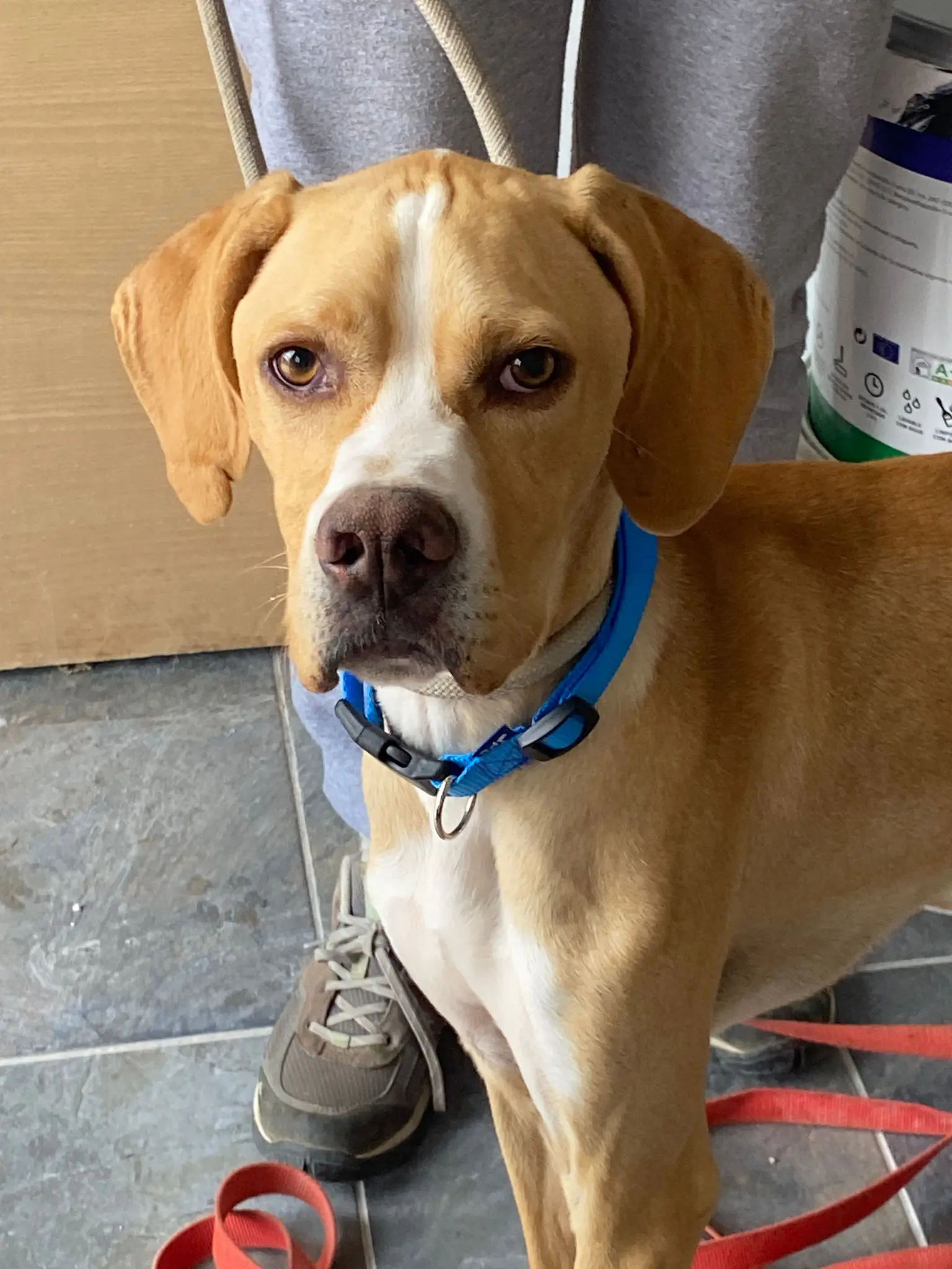 Docker (adopted June 2026)