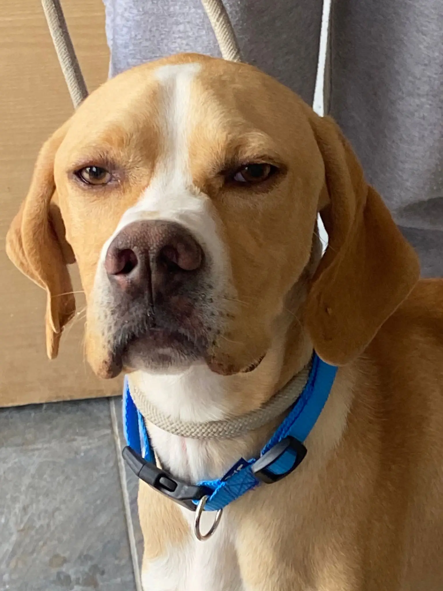 Docker (adopted June 2026)