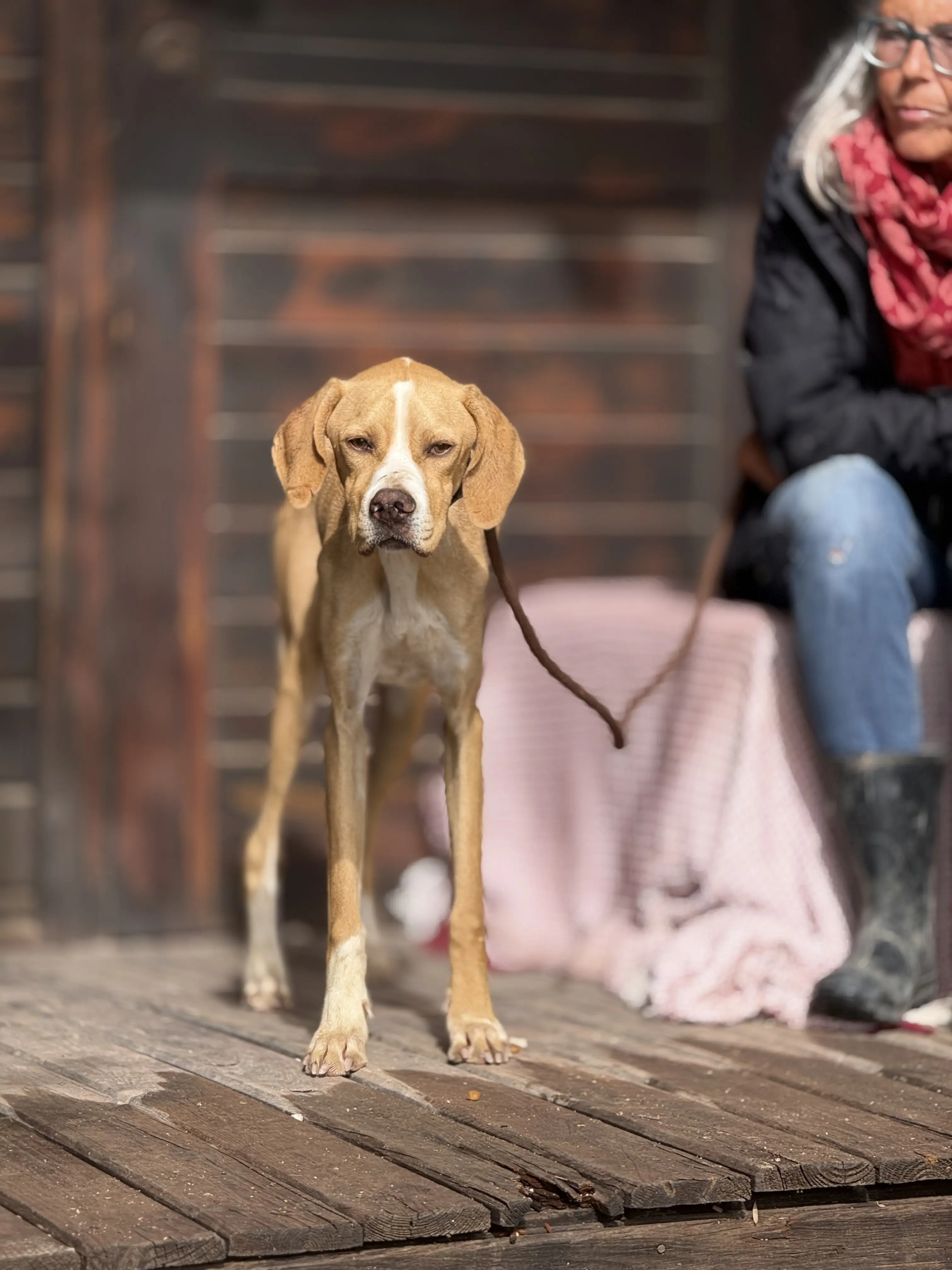 Docker (adopted June 2026)