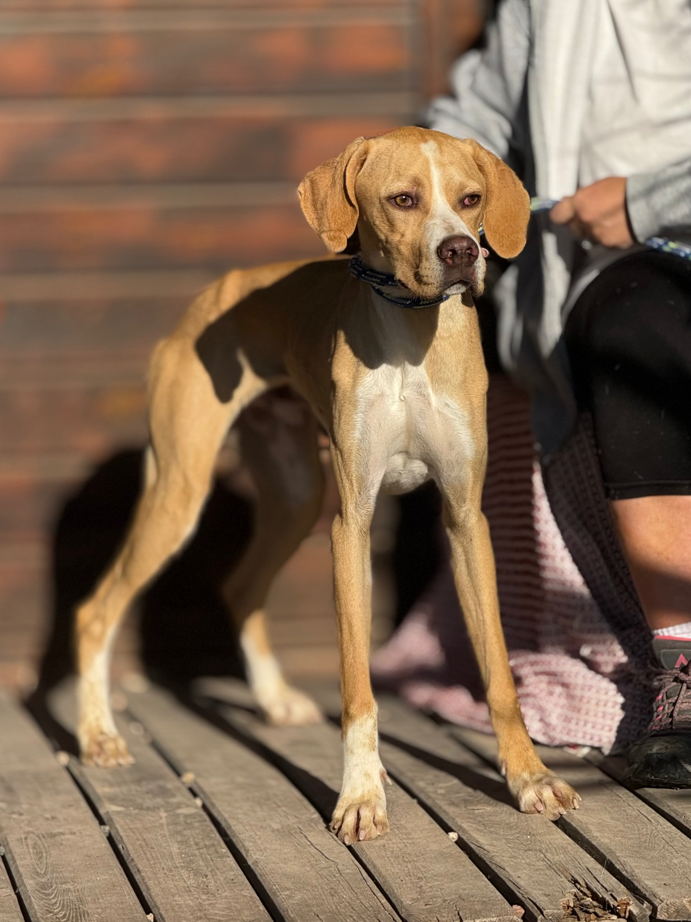 Docker (adopted June 2026)
