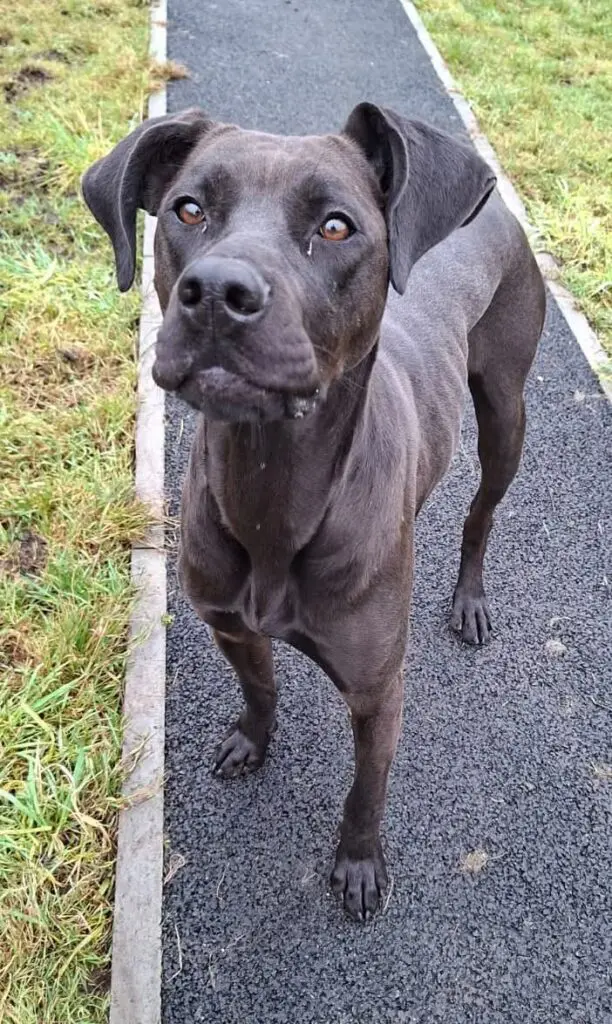 Lottie (Adopted May 2026) Thumb