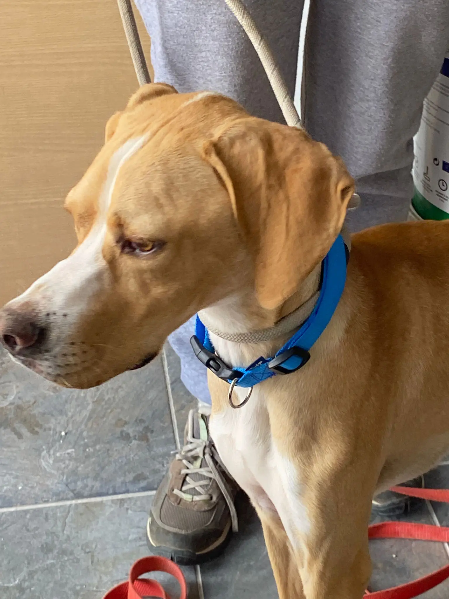 Docker (adopted June 2026)