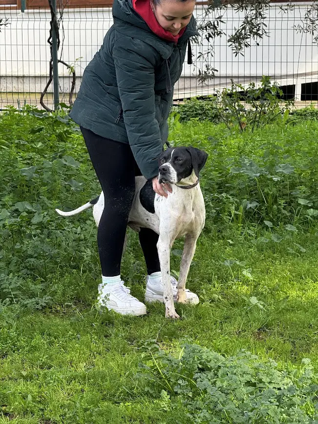 Linus (adopted July 2026)