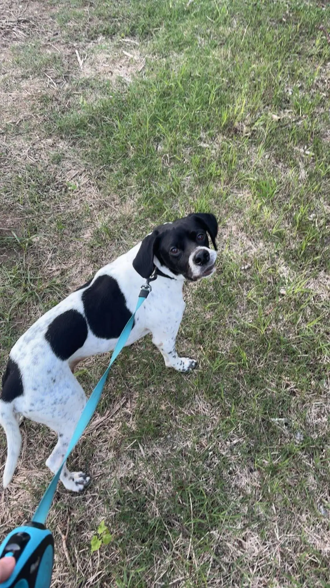 Rufus