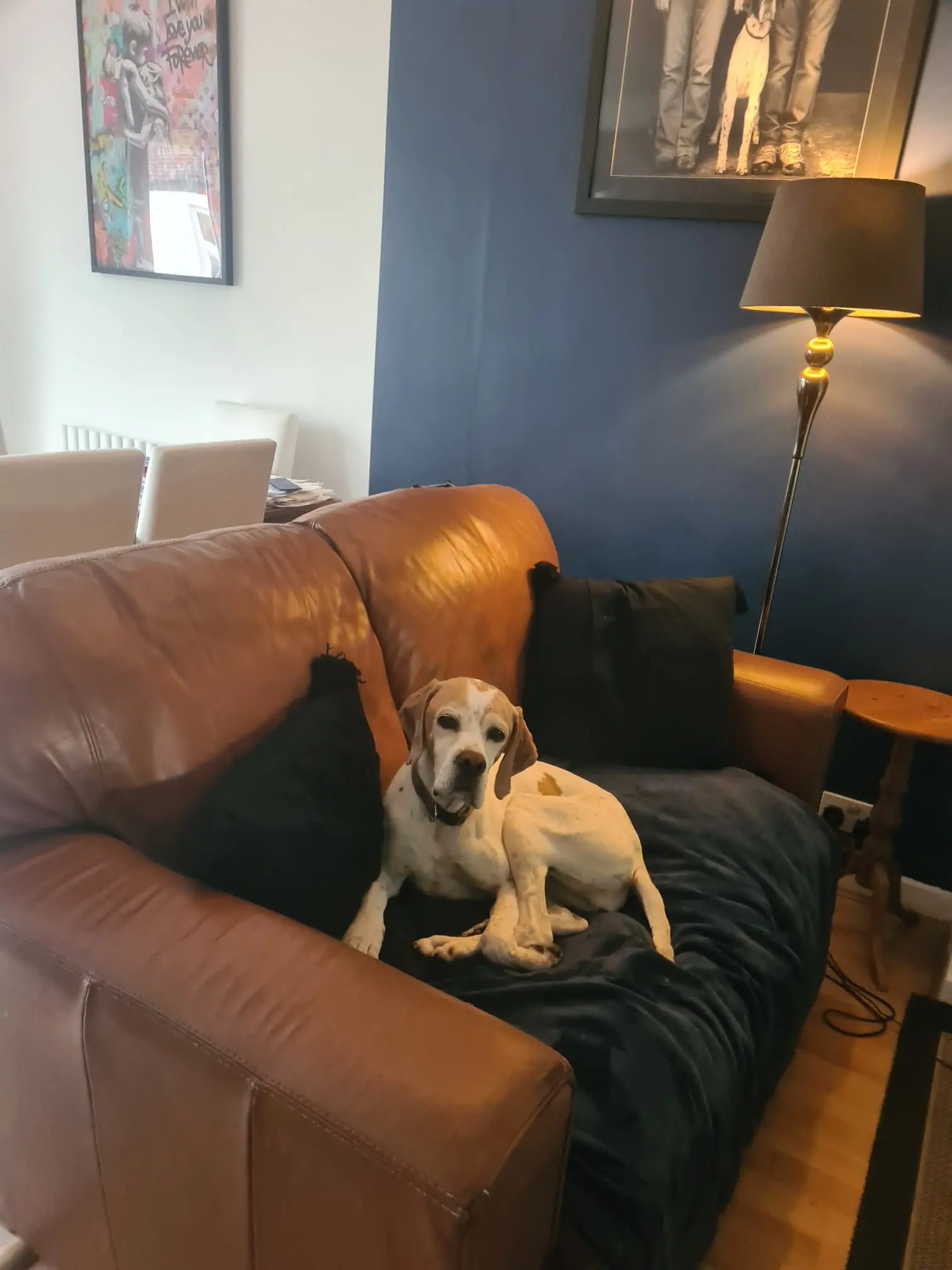 Chula (Adopted May 2026)