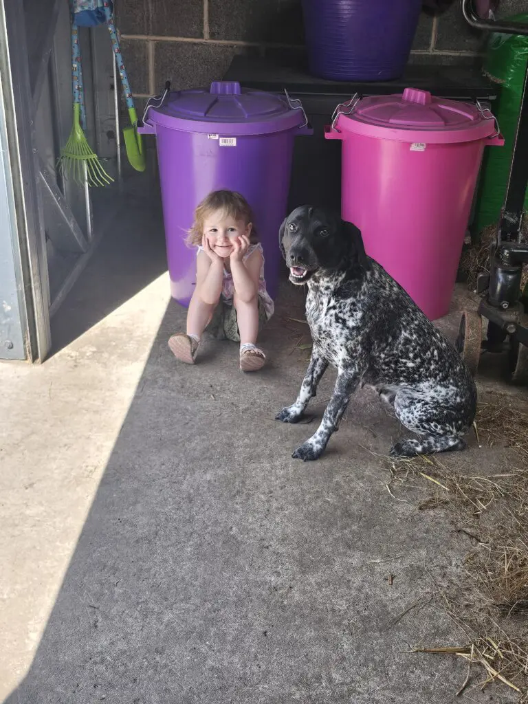 Ruby (Adopted May 2026) Thumb