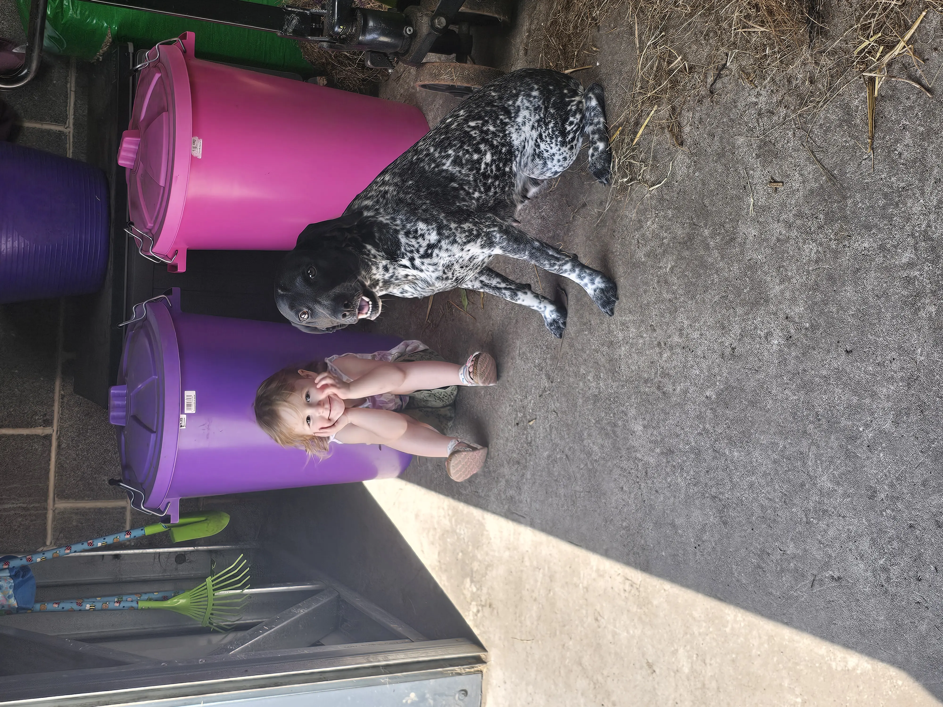 Ruby (Adopted May 2026)