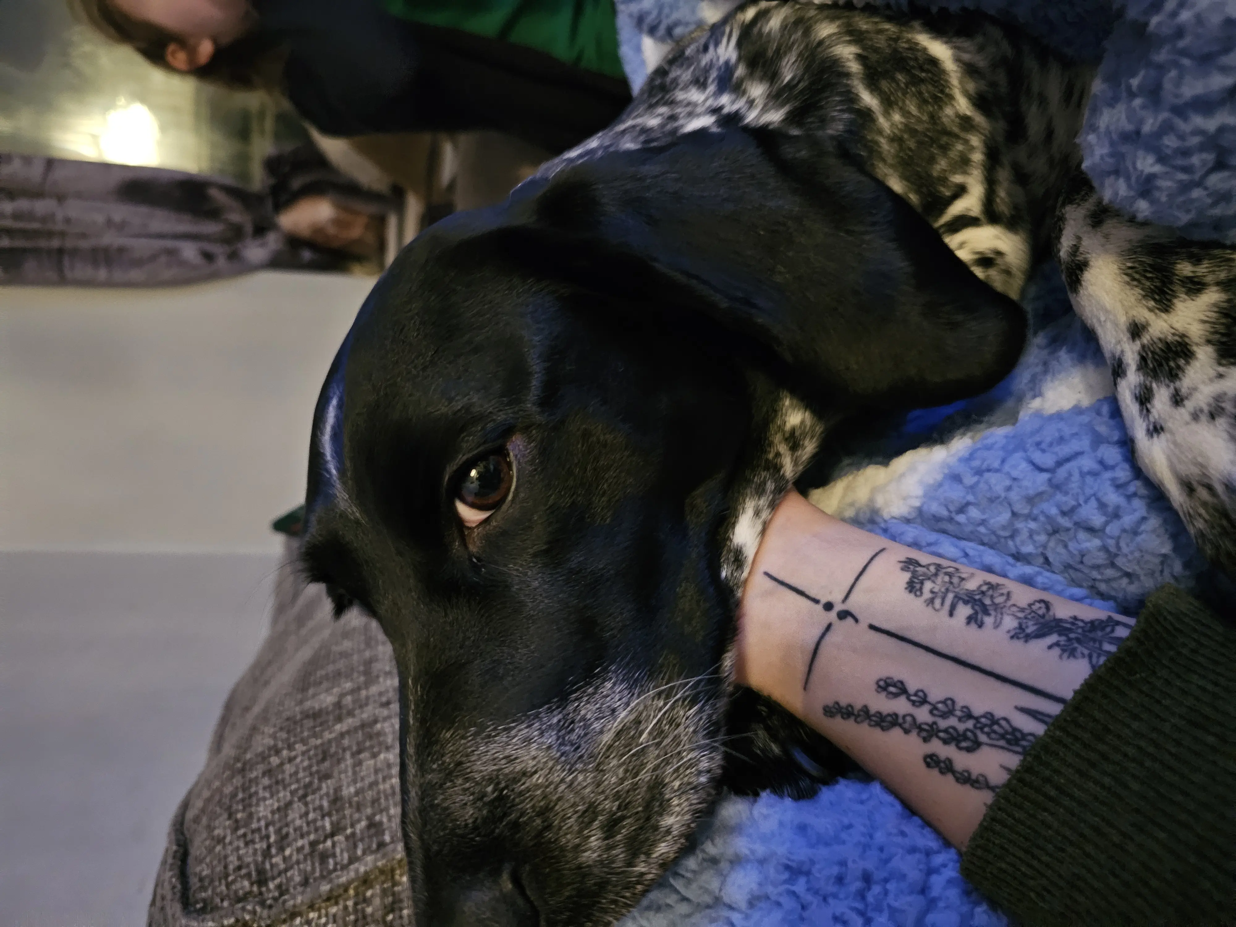 Ruby (Adopted May 2026)
