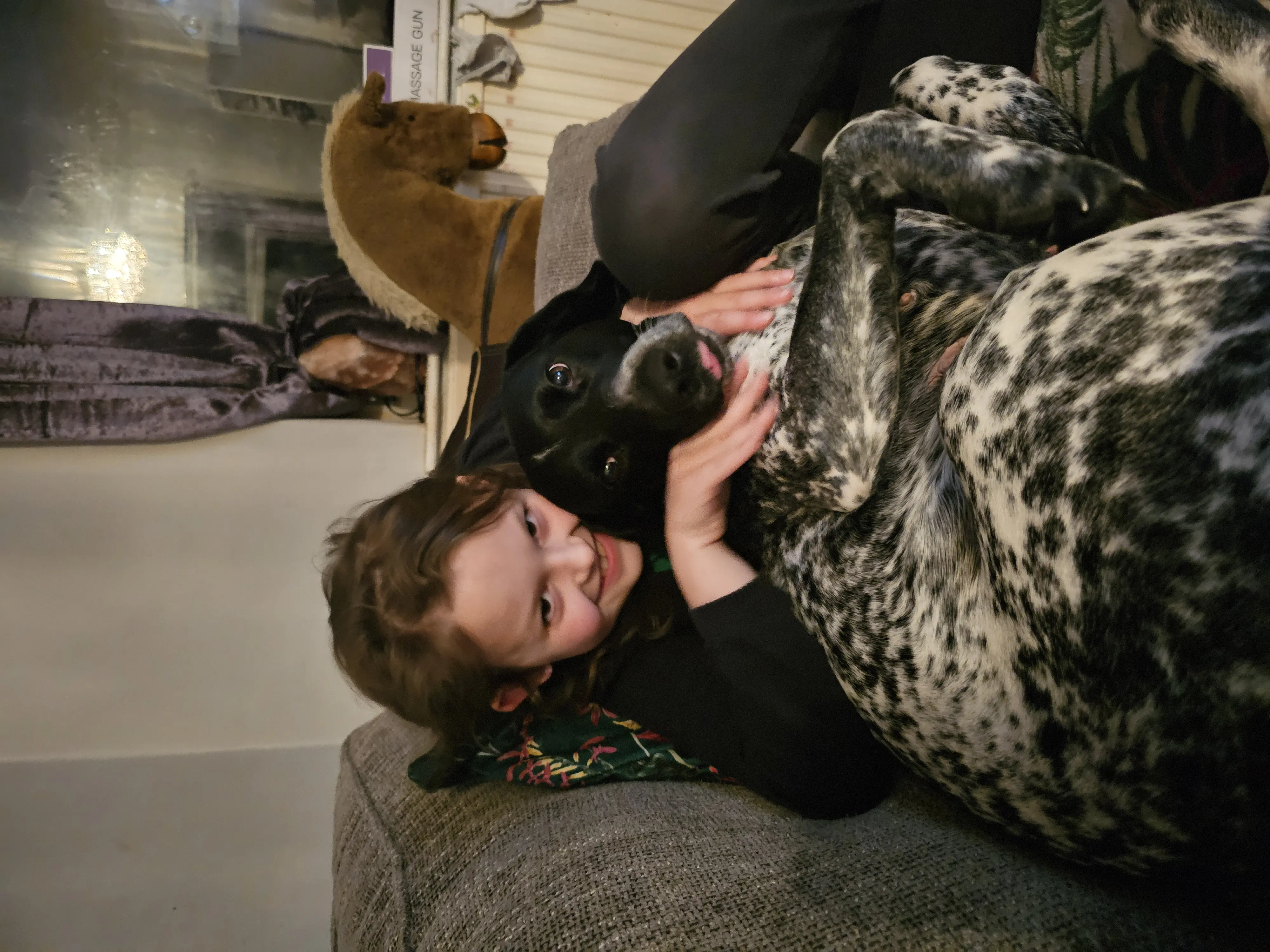 Ruby (Adopted May 2026)