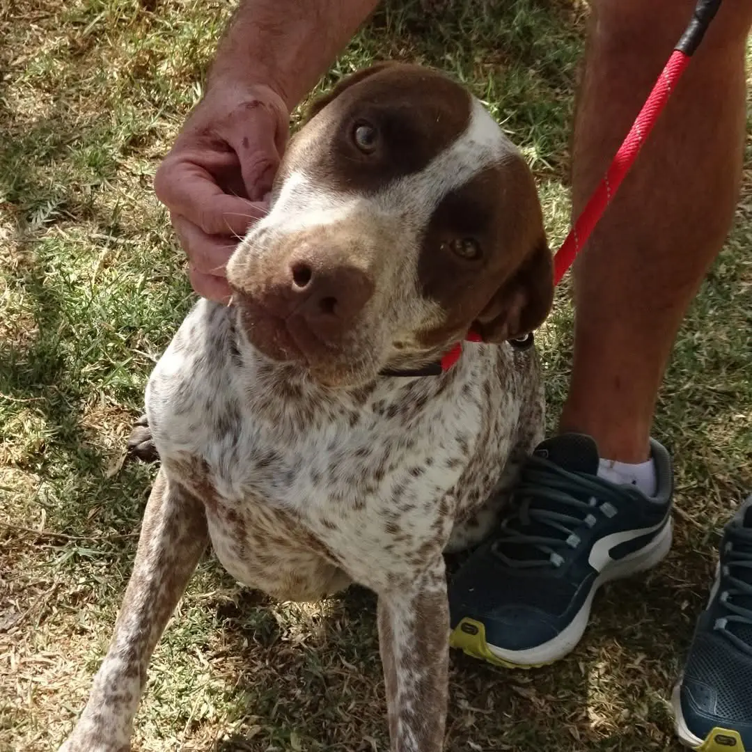 Lola (adopted July 2026)