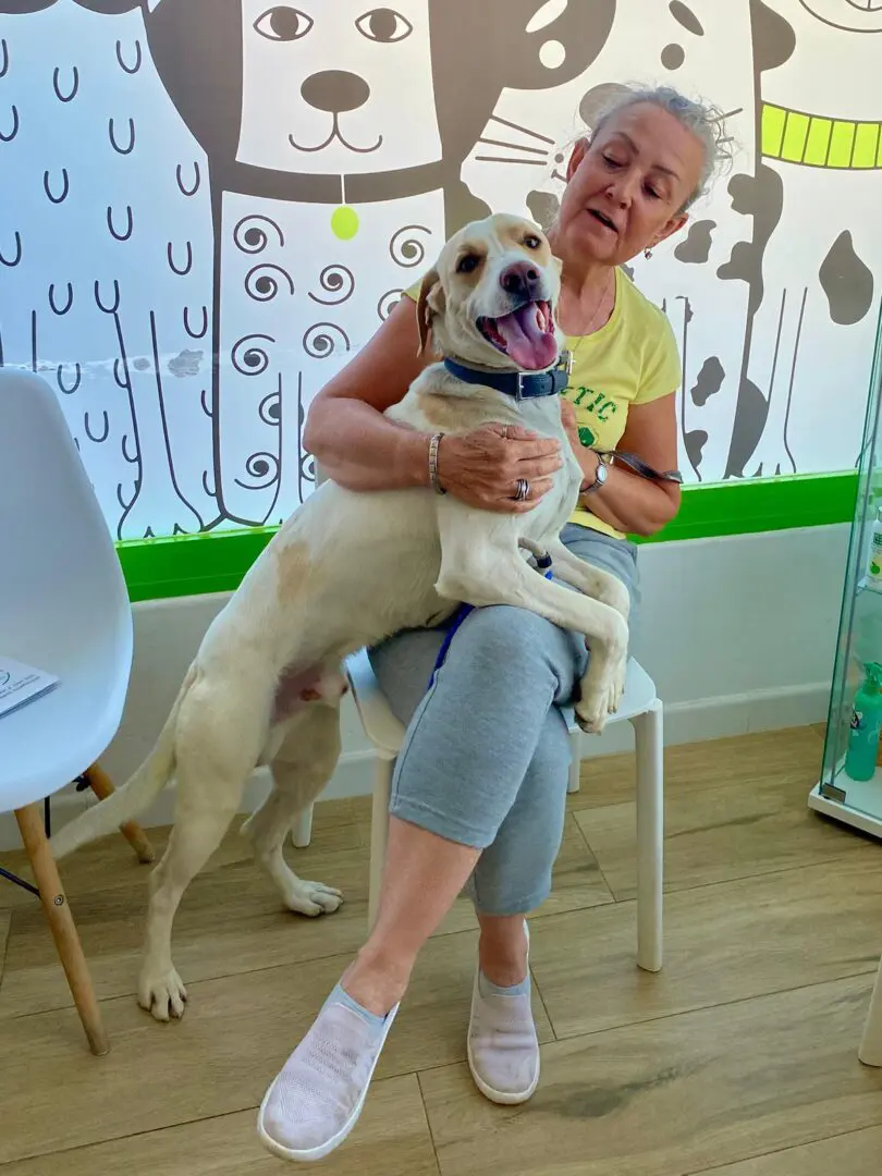Simba (adopted July 2026)