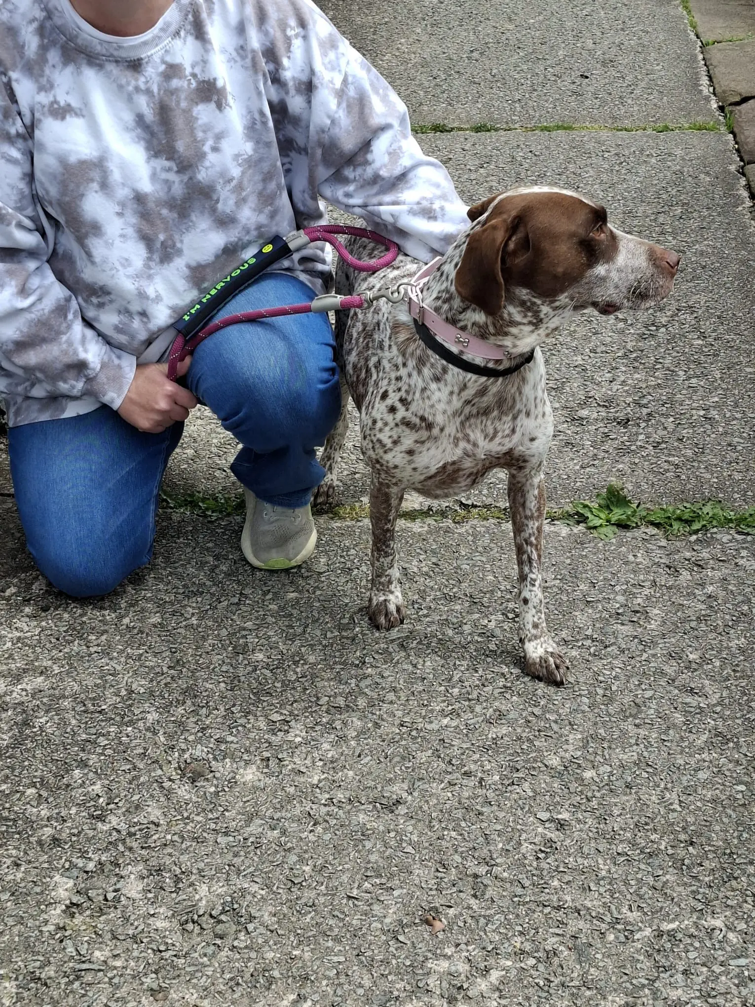 Lola (adopted July 2026)