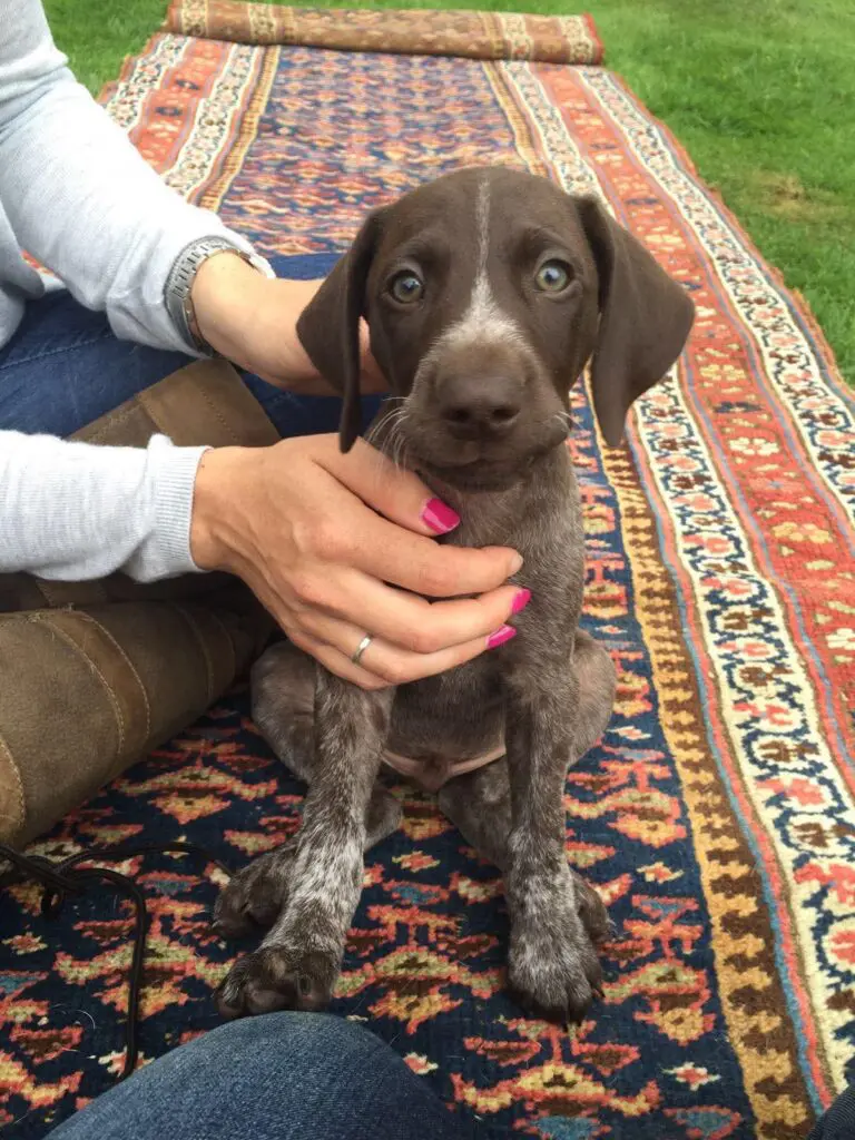 Murphy Thumb