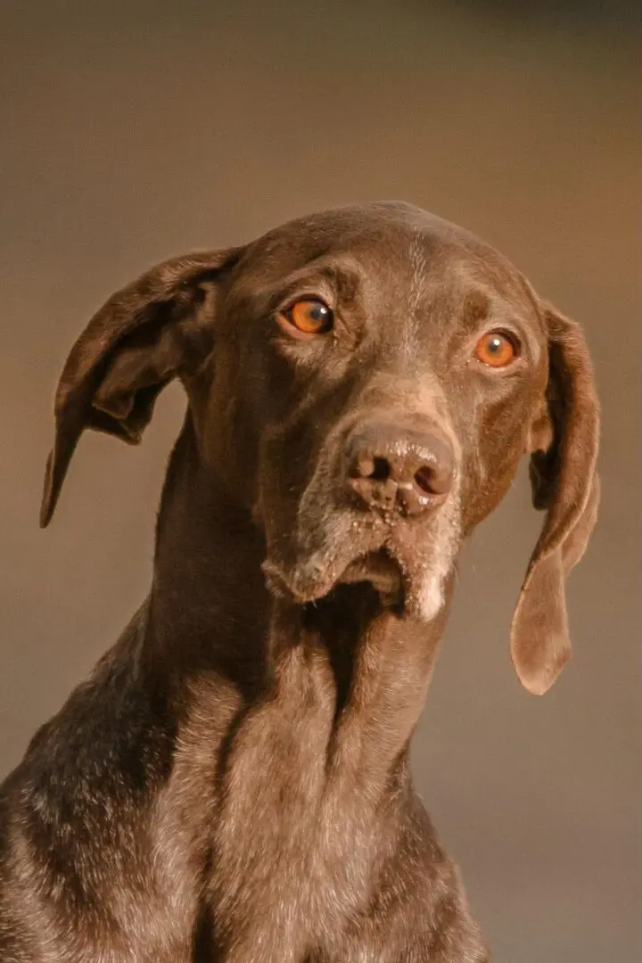 Murphy