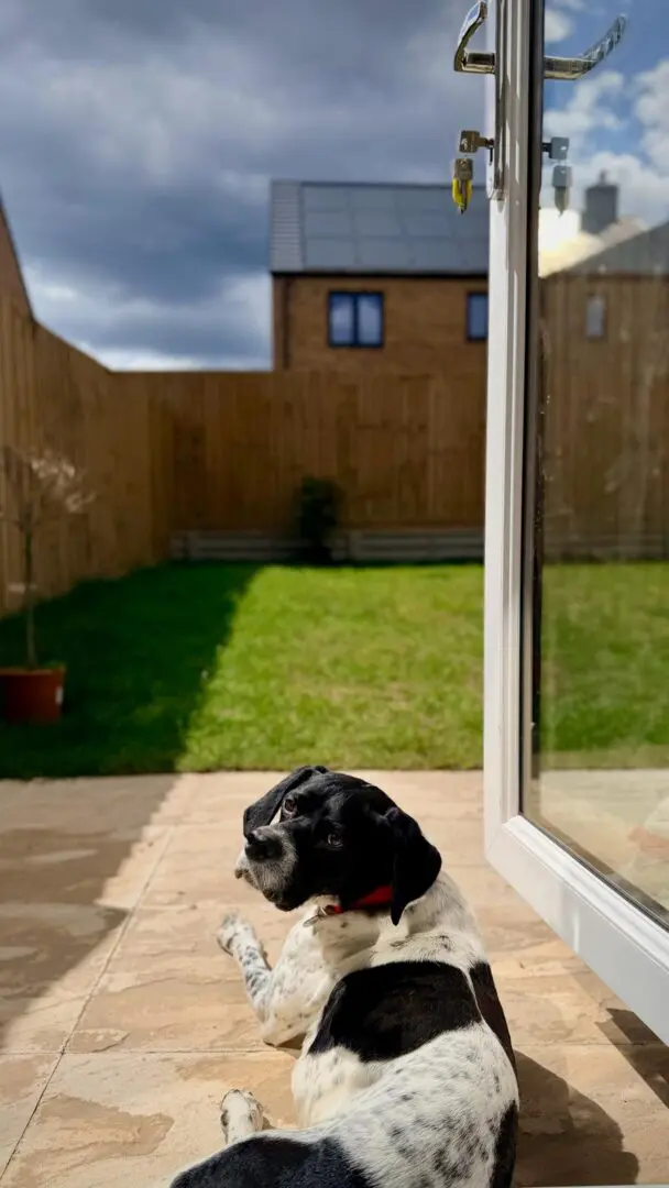 Rufus