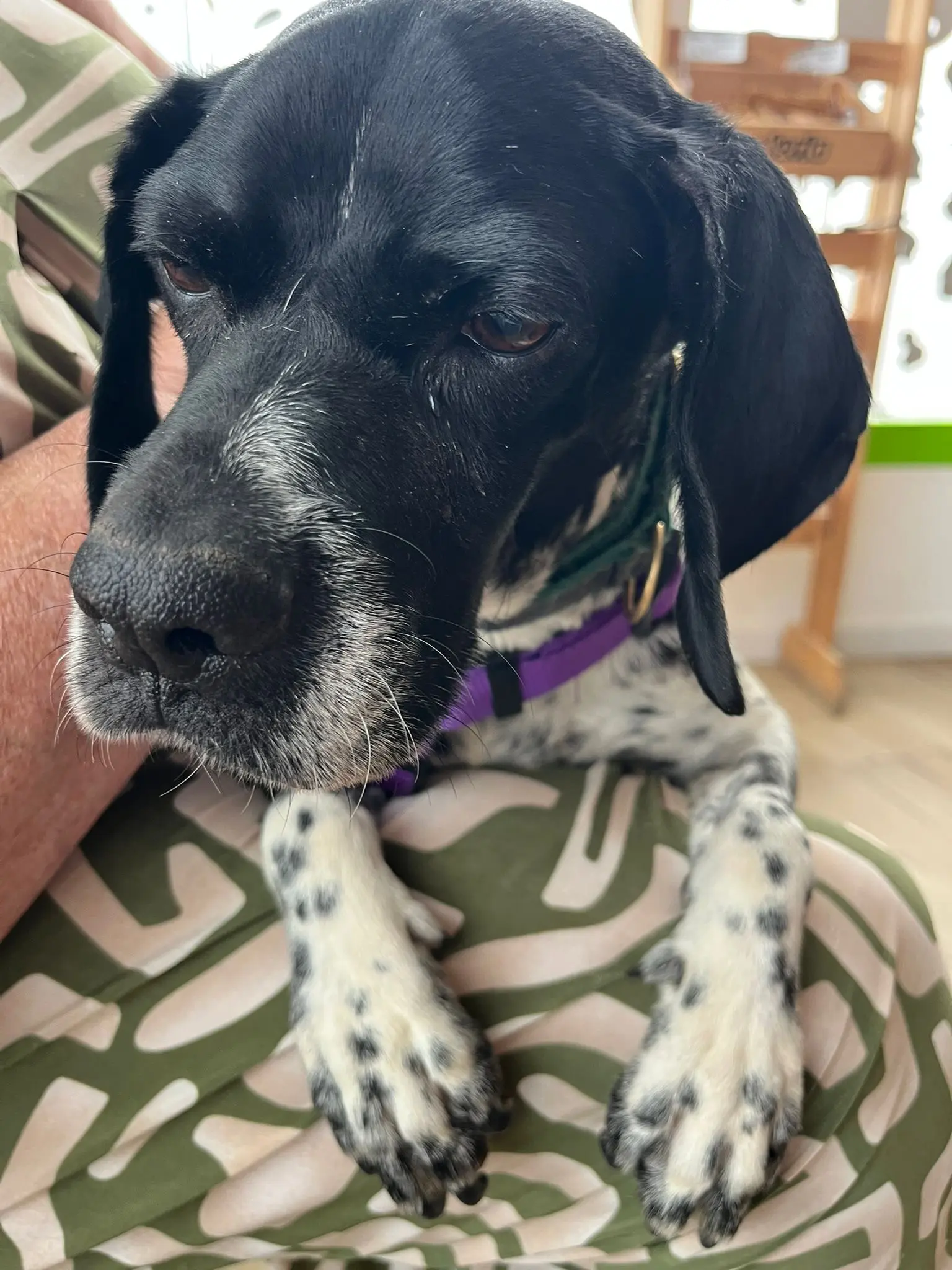 Dotty
