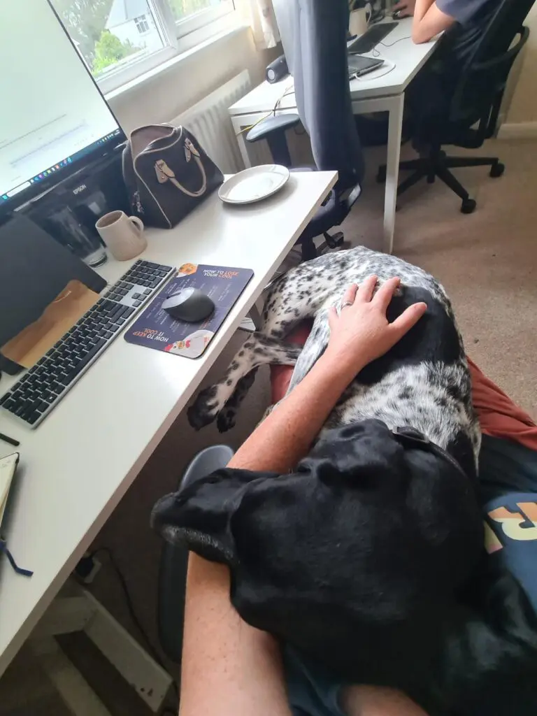 Riley – The Elegant “Floating” Pointer Thumb