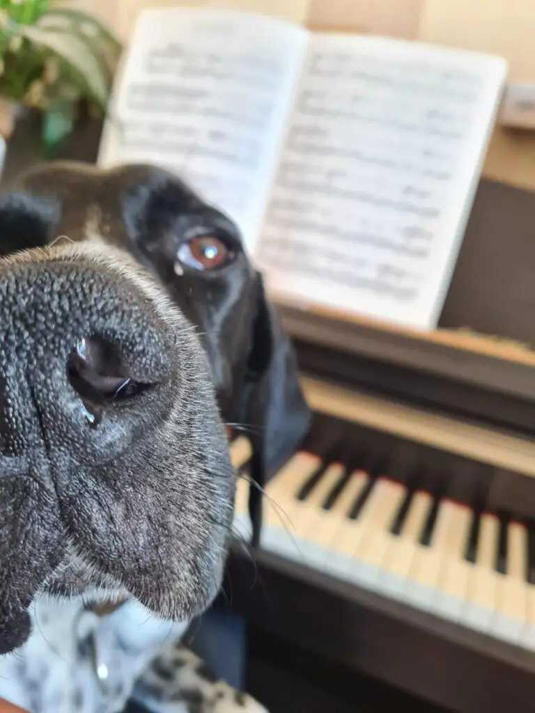 Riley – The Elegant “Floating” Pointer Thumb