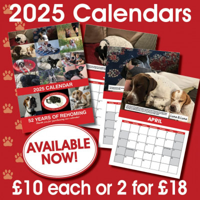 2x Calendars 2025