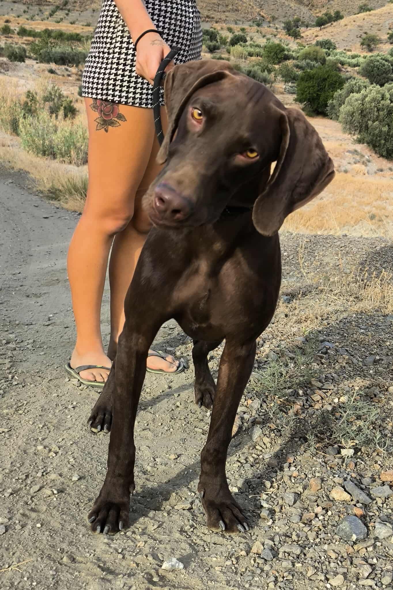 Boomer… Boom straight into your heart!