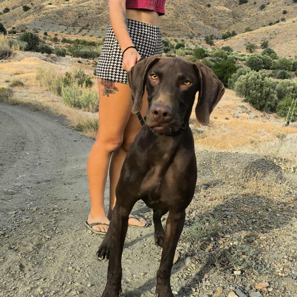 Boomer… Boom straight into your heart! Thumb