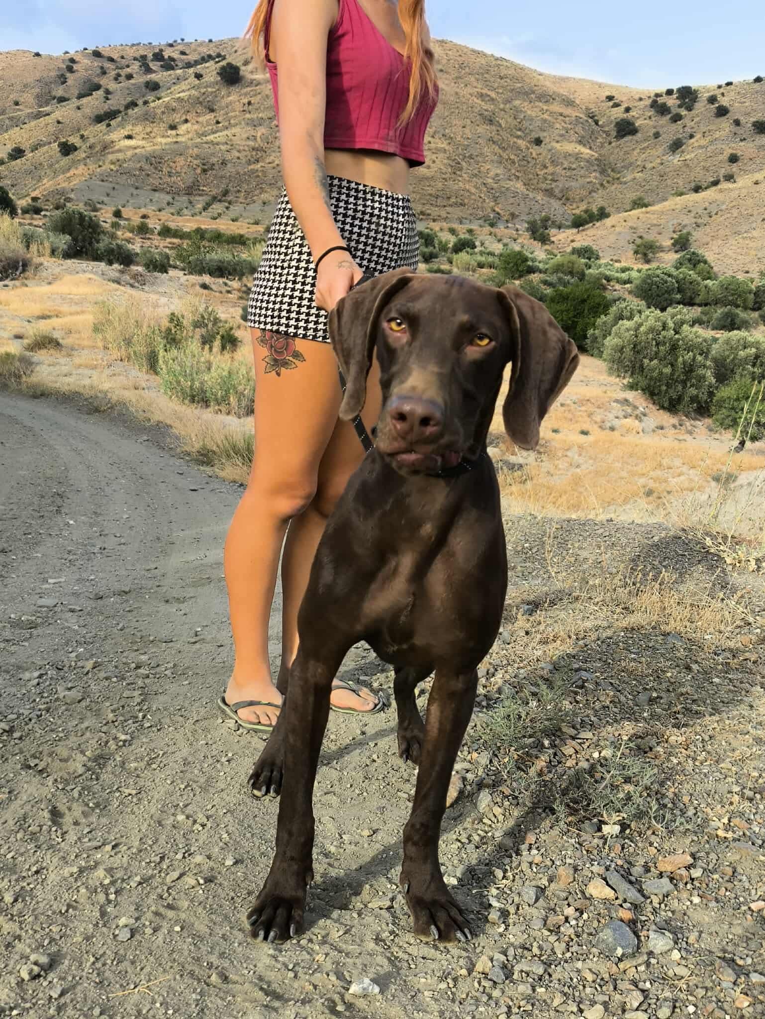 Boomer… Boom straight into your heart!